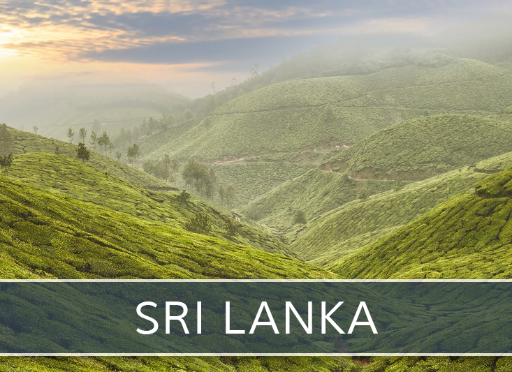 KOFFERBOX - Sri Lanka