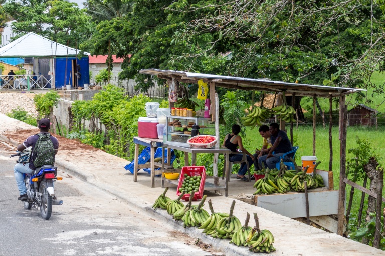 Punta Cana Ausflug | Verkaufsstand mit Bananen