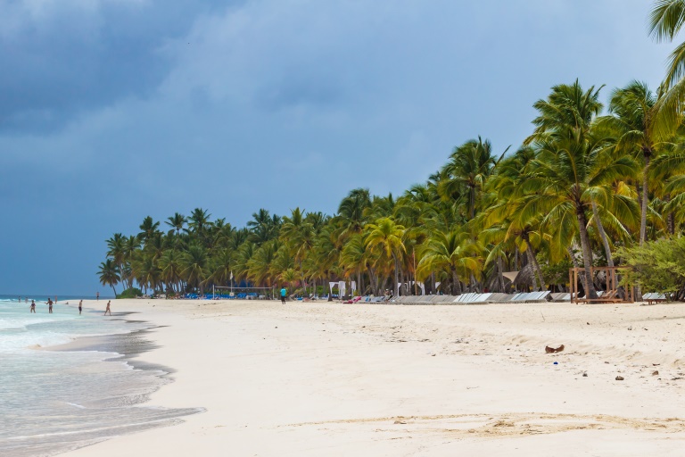 Saona Ausflug | Palmen auf Saona