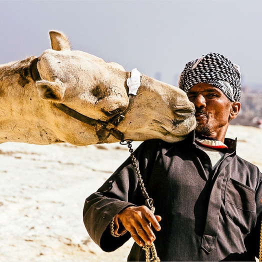 Touristischer Kamelführer im Dschallabija in Gizeh; Copyright Peter Gelhaus