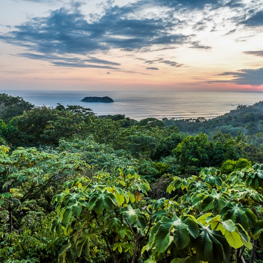 Der Nationalpark Manuel Antonio ist für seine vielen, nicht menschenscheuen Tiere sehr beliebt; Copyright Simon Dannhauer