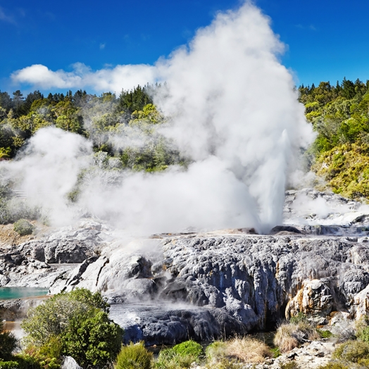 Pohuto-Geysir im Raum Rotorua; Copyright Dmitry Pichugin